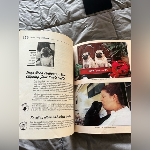 Pugs For Dummies Guide - Picture 2 of 7